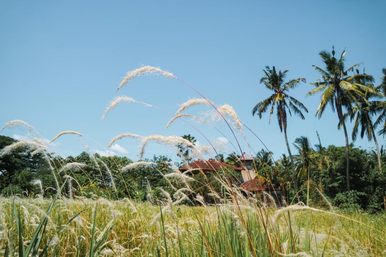 فندق De Rekun Ubud المظهر الخارجي الصورة