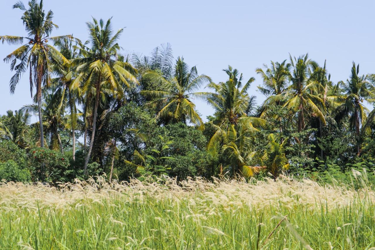 فندق De Rekun Ubud المظهر الخارجي الصورة